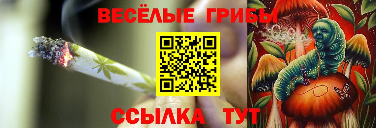 Дзержинск  Галлюциногенные грибы Psilocybine cubensis  Псилоцибиновые грибы MAGIC MUSHROOMS  Вход с VPN 